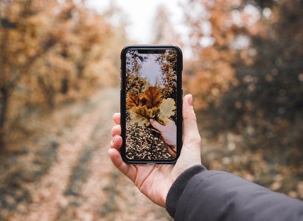 Smartphone camera capturing autumn leaves