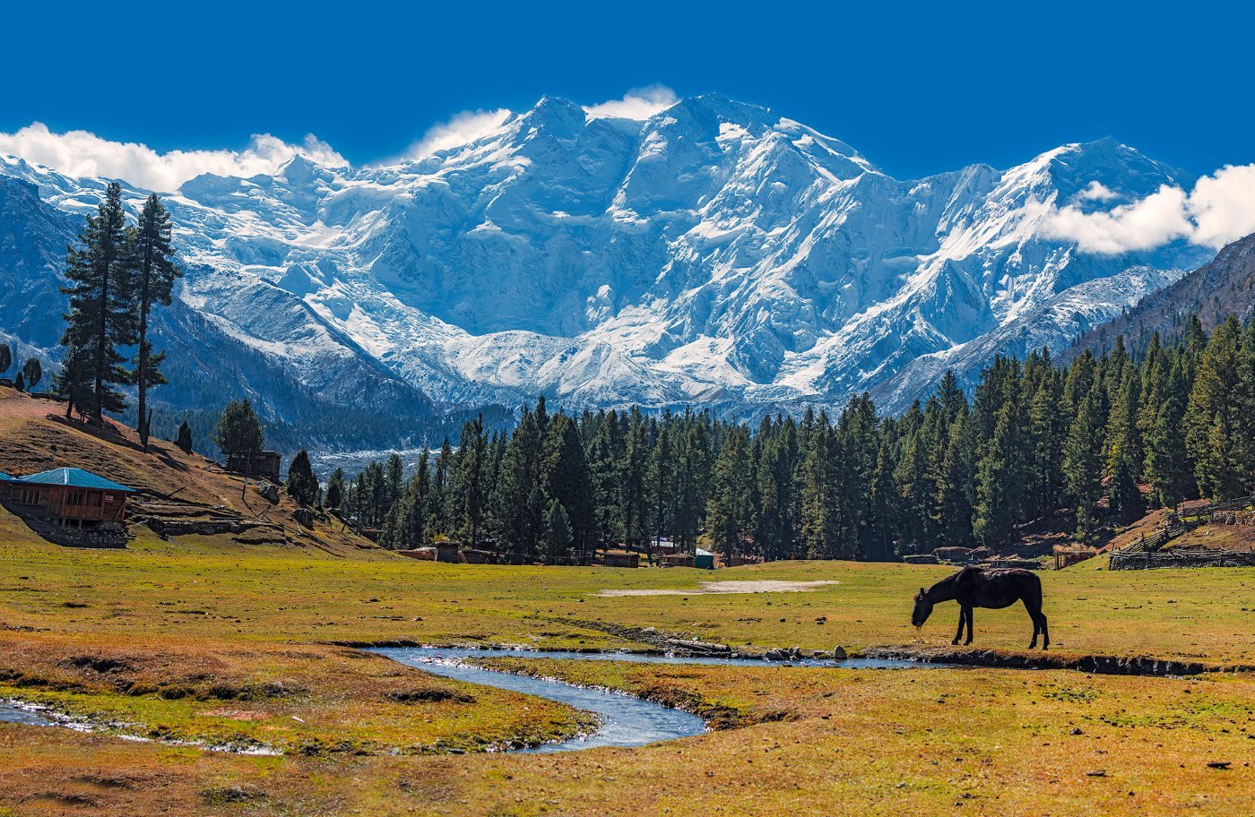 Fairy Meadows – Top 10 Best Places to Visit in Pakistan