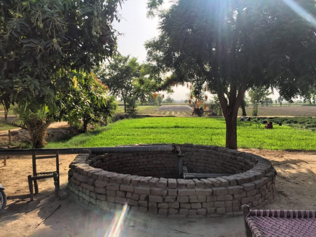 Farmland and old well in rural Pakpattan Punjab