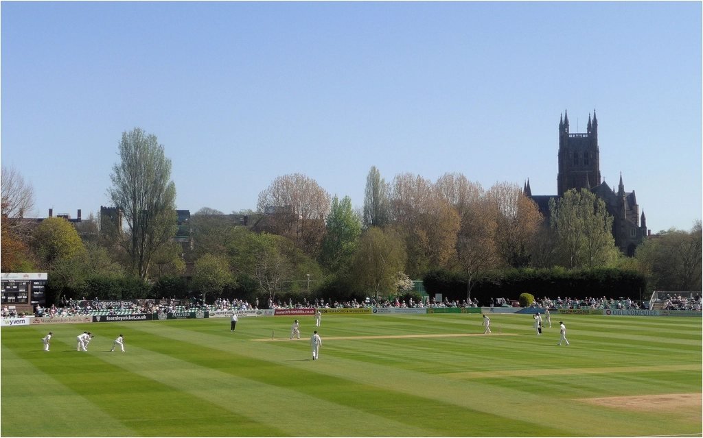 Cricket Wicket – Cricket Rules for Beginners