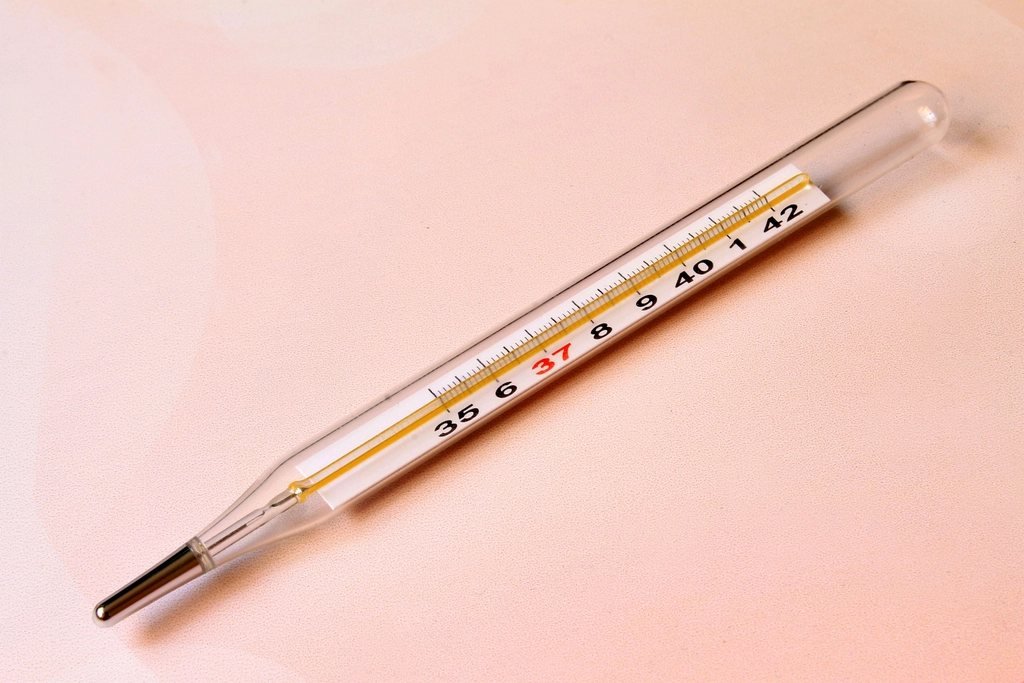 Fever Thermometer – Dengue Fever Symptoms, Treatment & Prevention in Pakistan